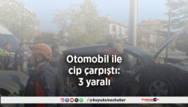 Otomobil ile cip çarpıştı