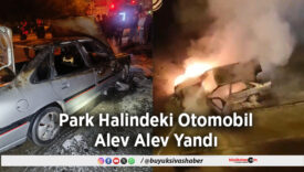 Park Halindeki Otomobil