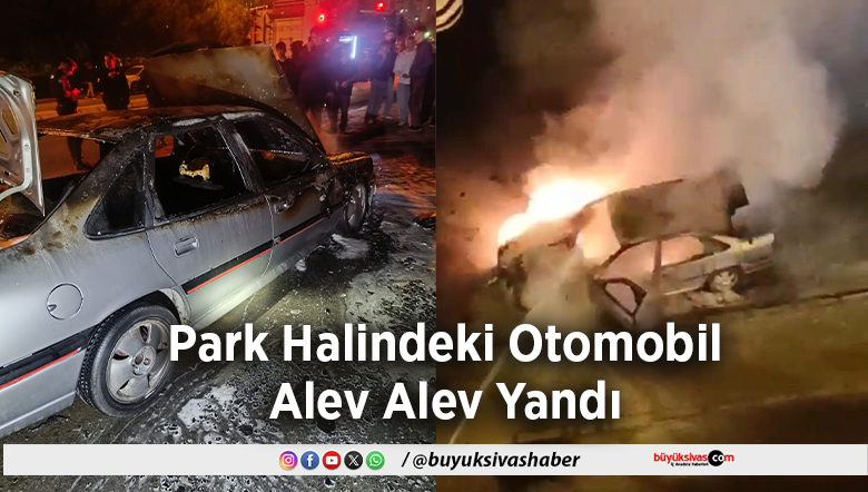 Park Halindeki Otomobil
