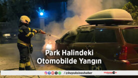 Park Halindeki Otomobilde