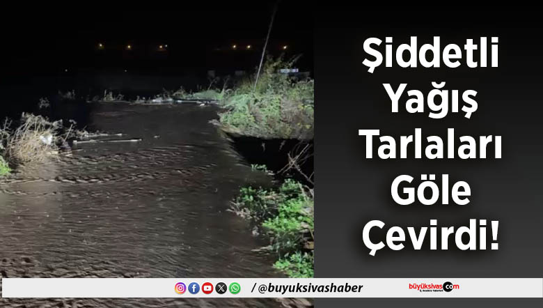 Şiddetli Yağış Tarlaları