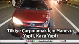 Tilkiye Çarpmamak