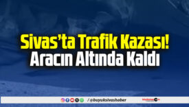 aracın