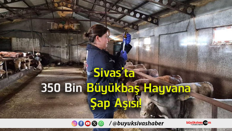 aşısı