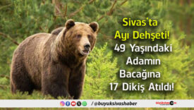 atıldı
