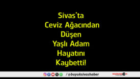 ayatını