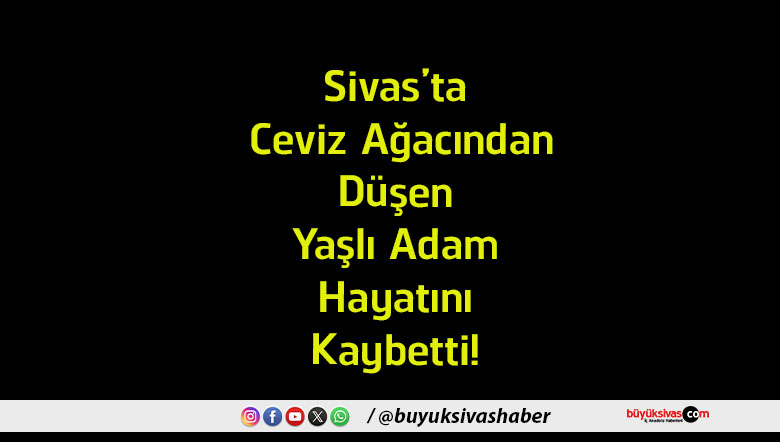 ayatını