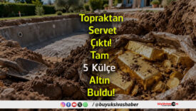 buldu