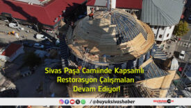 çalışmaları