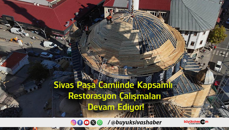 çalışmaları