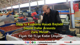 çıkıyor