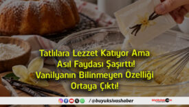çıktı