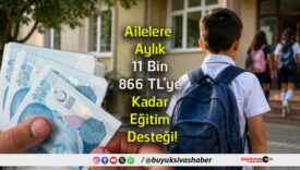 desteği