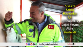 dönümlük
