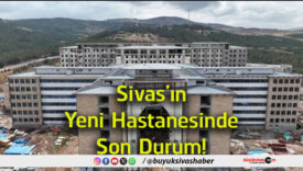 durum
