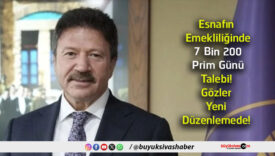 düzenleme