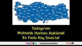 fazla