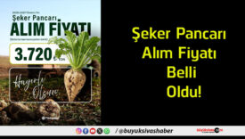 fiyatı
