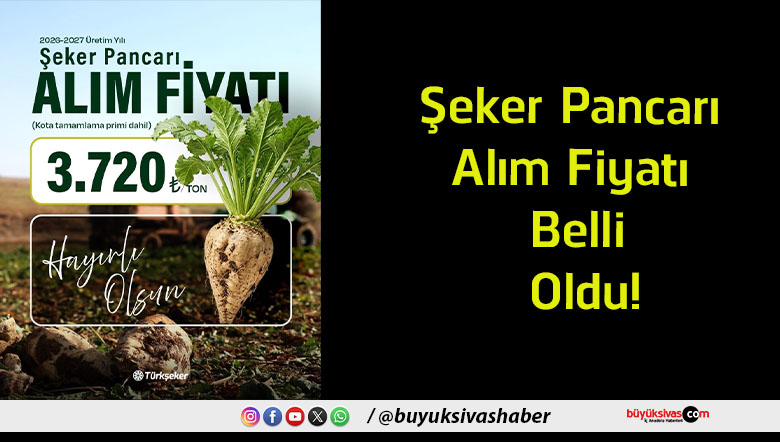 fiyatı