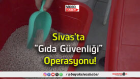 gıda