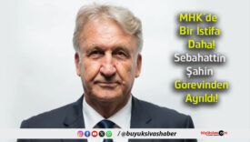 görev