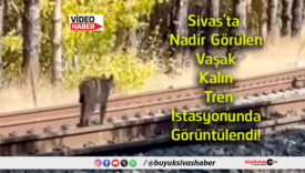 görüntülendi