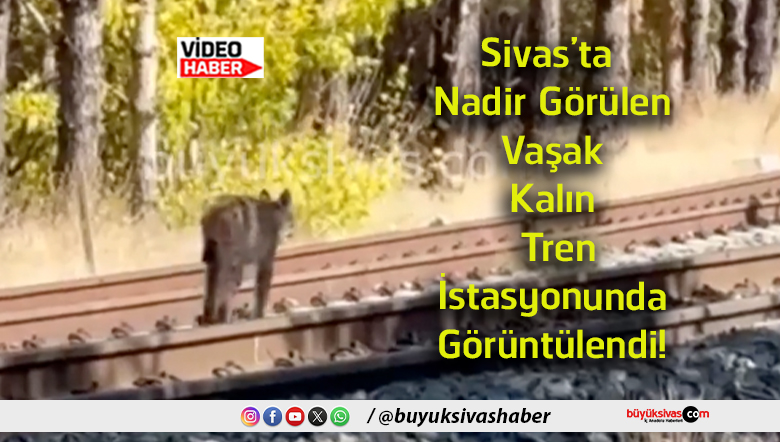 görüntülendi