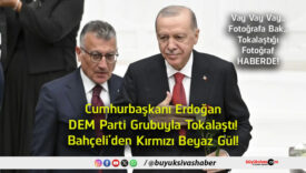 haberde