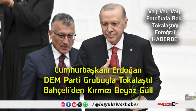 haberde