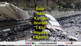 hayatını
