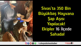 ilçede