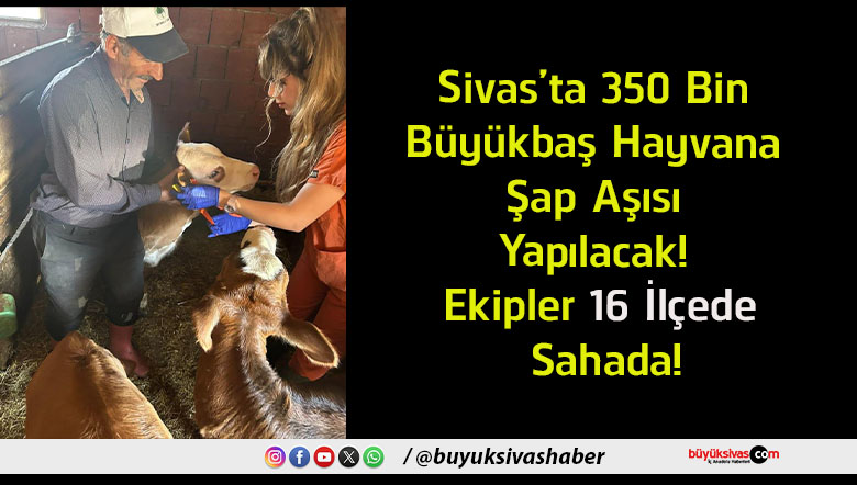 ilçede