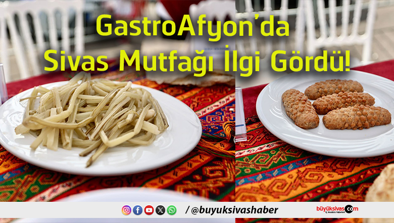 ilgi