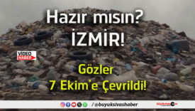 izmşr