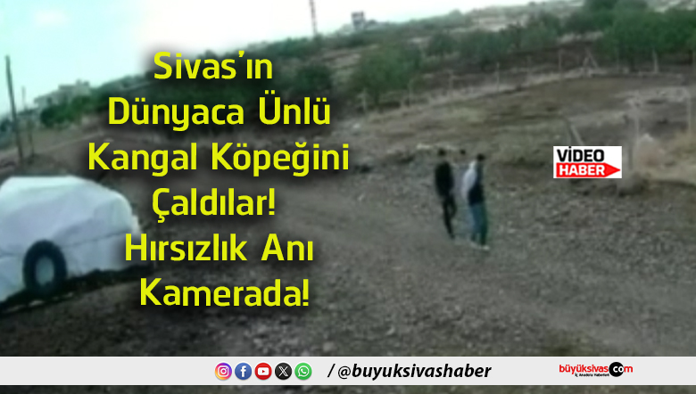 kamera