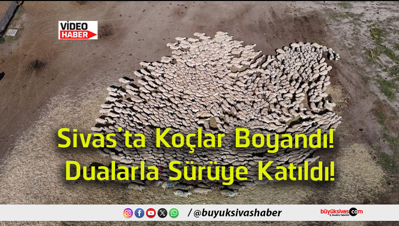 katıldı