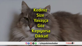 kırpıyorsa