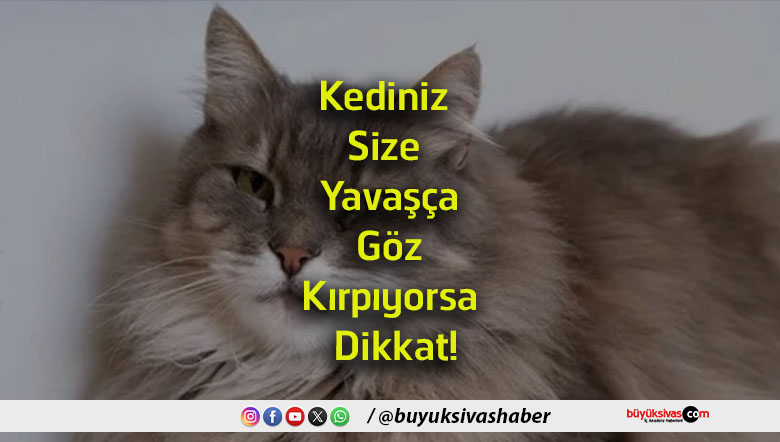 kırpıyorsa