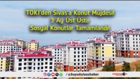 konut