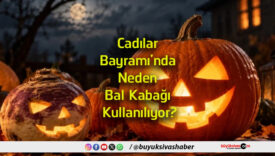 kullanılıyor