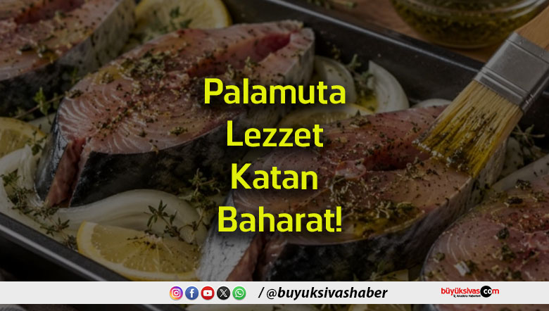 lezzet