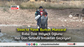 manzara