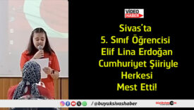 mest