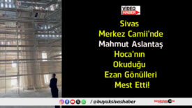 mest
