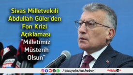 milletvekili