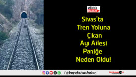 neden