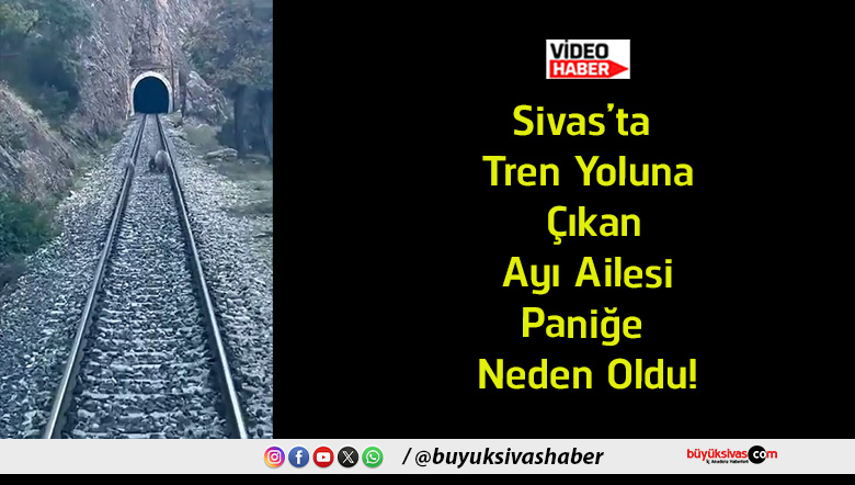 neden