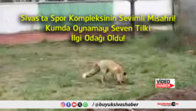 oldu