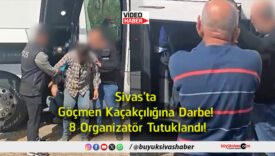 organizatör