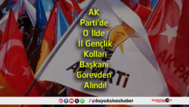 parti